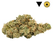 Ultra Sour 7g Dried Flower