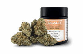 DEALR - Hannibal Nectar 7g