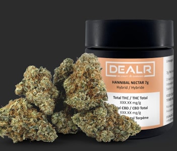 DEALR - HANNIBAL NECTAR LTO - 7g