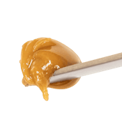 BLUE CITY DIESEL LIVE ROSIN