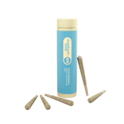 Standard Issue Sour Raspberry Distillate Infused Pre-Rolls - 5 X 0.5g