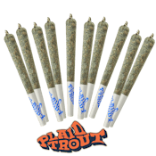 Plaid Trout - Sunset Sherbert - 10 x 0.5g Pre-Rolls
