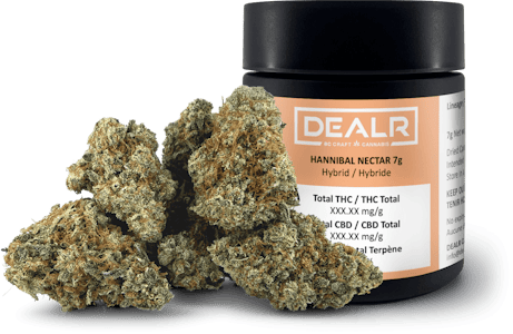 DEALR - HANNIBAL NECTAR LTO - 7