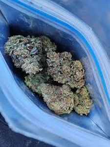 Weed Pool - Bandwagon - Bubba Mints - 3.5g