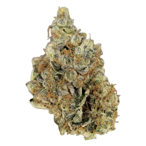 Elevator - Elevator Grape Kush 28g