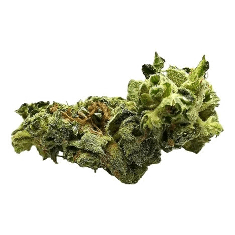 Elevator Mac Melon OG 3.5g