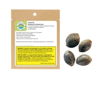 Coastal Fog Autoflower Feminized Seeds 4pk