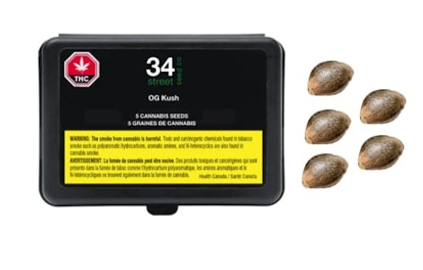 34 Street Seed Co - OG Kush Seeds 5pk