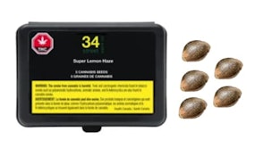 Super Lemon Haze Fem Seeds