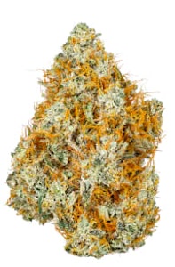 Coast Mountain Cannabis - BC ORGANIC CITRUS SKY LTO 3.5