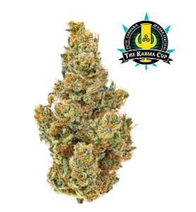 Coast Mountain Cannabis - BC ORGANIC DANCEHALL 2g