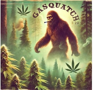 Sassy Weed  - Sassy Weed | Gasquatch Pre-Rolls | 5 x 0.5 g