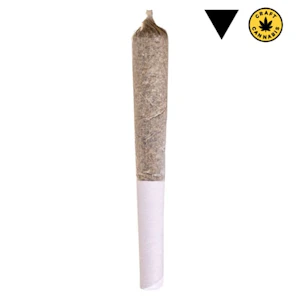 Potluck - Beaver Tail Pre-Roll 1x0.5g Pre-Rolls