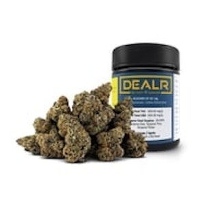 DEALR - BLIZZARD OF OZ LTO - 14