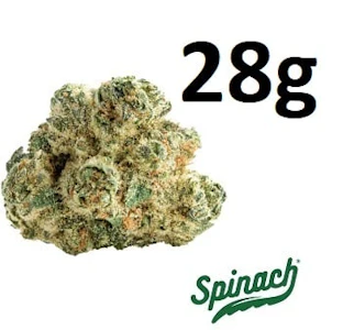 Spinach - SPINACH - SPACE CAKE - 28G