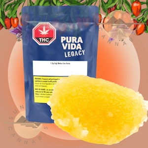 Pura Vida - GOJI MELON LIVE RESIN - PURA VIDA - 1.2G