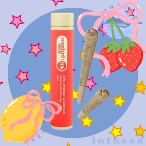 Standard Issue - STRAWBERRY LEMONADE - STANDARD ISSUE - 2X0.5G