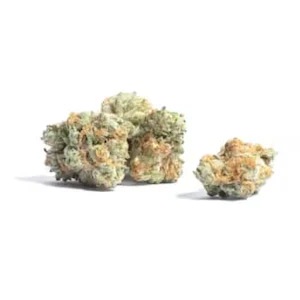 South Point - Turbo Diesel 3.5g