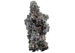 ORGANIC LIMELIGHT PETITES (LTO)