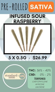 Standard Issue - STANDARD ISSUE - 5PK SOUR RASPBERRY DISTILLATE INFUSED PRS