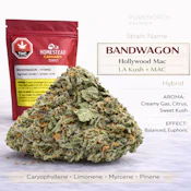 Bandwagon - (Hollywood Mac - LA Kush X MAC) 28g Flower
