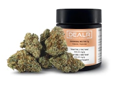 Dealr Hannibal Nectar 7g