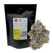 Meteor Bomb 14g Dried Flower