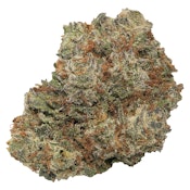 North of 28 - Quarter Zip - Indica - 7g