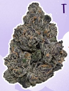 November Rain - Midnight Kruntz 7g Dried Flower by November Rain