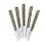 DEALR | Strawberry Matcha Pre-Roll | 5 x 0.5 g