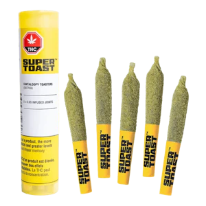 Super Toast - Cantaloopy Toasters 5 x 0.5g Kief Coated IPR's - Super Toast