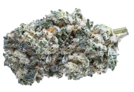 The Original Fraser Valley Weed Co. - Kush Breath - GSC X (Durban Poison X OG Kush)  28g Dried Flower