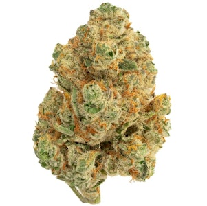 The Loud Plug - Venom OG