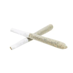 Tobagrown's Grow Inc - Budville Hybrid PR 2x1g