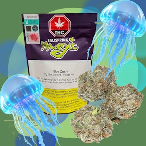 Saltspring Magic - BLUE ZUSHI - SALTSPRING MAGIC (DFG) - 7G