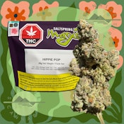 HIPPIE POP - SALTSPRING MAGIC (DFG) - 28G