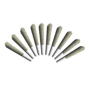 Choklit Park - Moon Puppies 10pk Pre-Rolls 0.5g