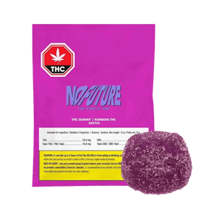 No Future - No Future The Purple One THC