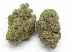 RED POP RNTZ HIGHLY DUTCH 28G
