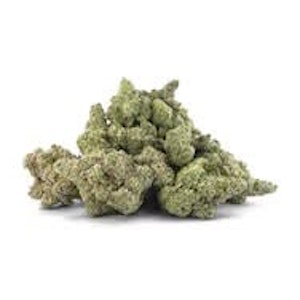 BC OZ - HOLIDAY WEIGHT LTO - 28