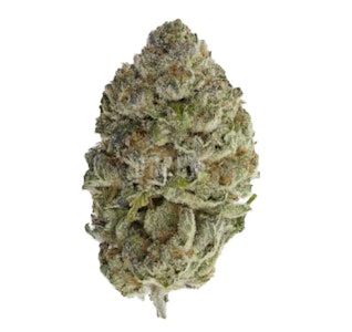 Sheeesh! - BLUEFIN TUNA - 3.5