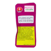 Bold Glazed - Midnight Berries Liquid Diamond Disposable - 1g