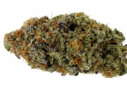 MAGI CANNABIS - MAC DONUT