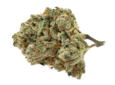 ALIEN PEBBLES LTO - 14