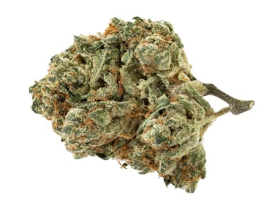 Pure Sunfarms - ALIEN PEBBLES LTO - 14