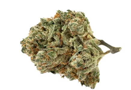 Pure Sunfarms - Alien Pebbles LTO - 14g