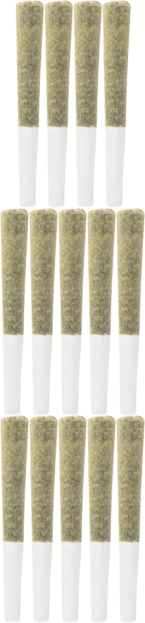 The Loud Plug - Platinum Punch 14x0.5g | 7g