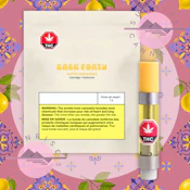 SUPER LEMON HAZE - BACK FORTY - 1G