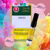 RAINBOW DRIVER - WOODY NELSON - 1G