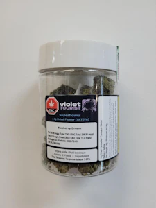 Open Fields Distribution  - Violet Tourist Blueberry Dream 14g Dried Flower